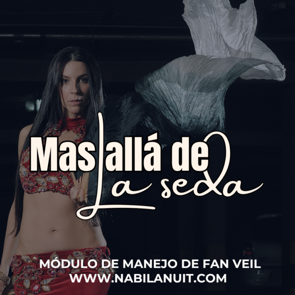 MODULO DE MANEJO DE FAN VEIL